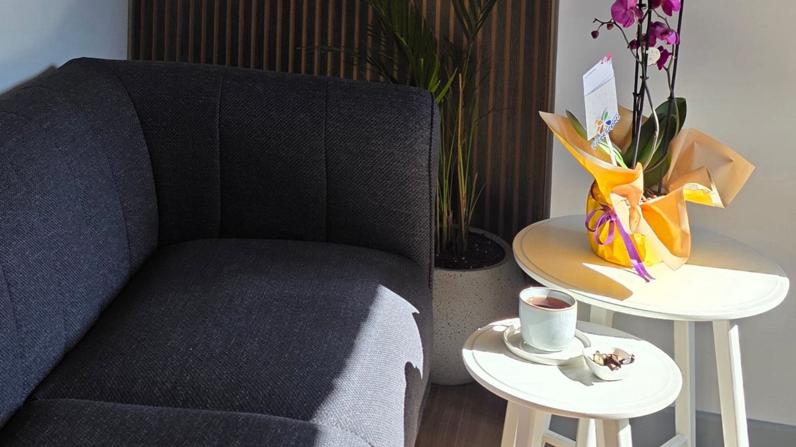 A sofa, a palm and a side table with an orchid in the lounge corner